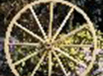 Decorative – Wood Wagon Wheel – 42 Inch x 1 Inch Steam Bent Hickory Wagon Wheel with wooden hub