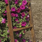 Gardening – Home Decor – Tobacco Lathe Ladder – Narrow