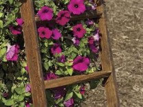 Gardening – Home Decor – Tobacco Lathe Ladder – Narrow