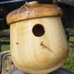 Acorn Country Bird house