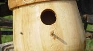 acorn birdhouse