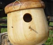 Acorn Country Bird house