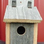 Bluebird Birdhouse