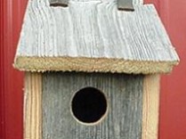 Bluebird Birdhouse