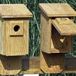 Bluebird Flip Front Birdhouse Box