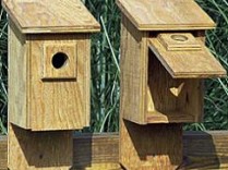 Bluebird Flip Front Birdhouse Box