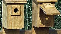 birdhouse with flip front