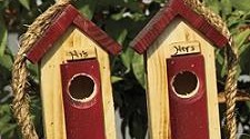 his and hers outhouse birdhouse