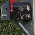 Wren Birdhouse Mailbox