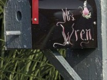 Wren Birdhouse Mailbox