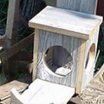 Gallon-Jug Rustic Birdfeeder