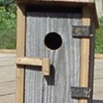 Outhouse BirdHouse