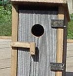 Outhouse BirdHouse