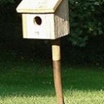 Potato Fork with Birdhouse