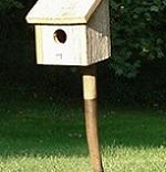 Potato Fork with Birdhouse